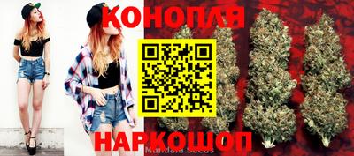 скорость Кандалакша
