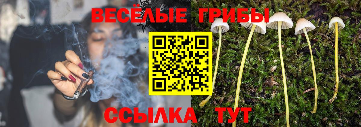 Галлюциногенные грибы мицелий Конаково