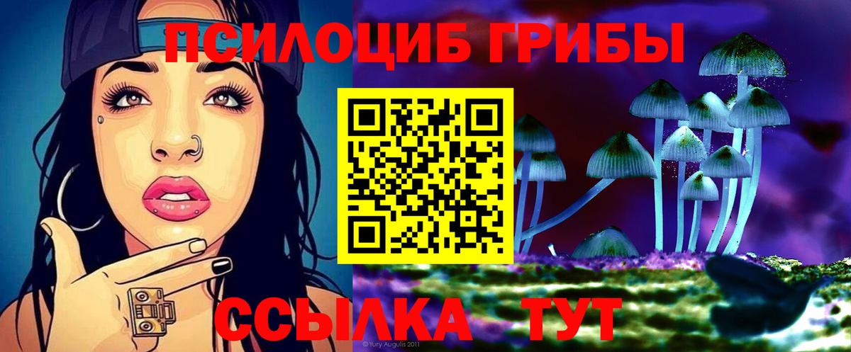 Псилоцибиновые грибы Psilocybine cubensis  Псилоцибиновые грибы Psilocybine cubensis  Конаково  Вход с VPN 